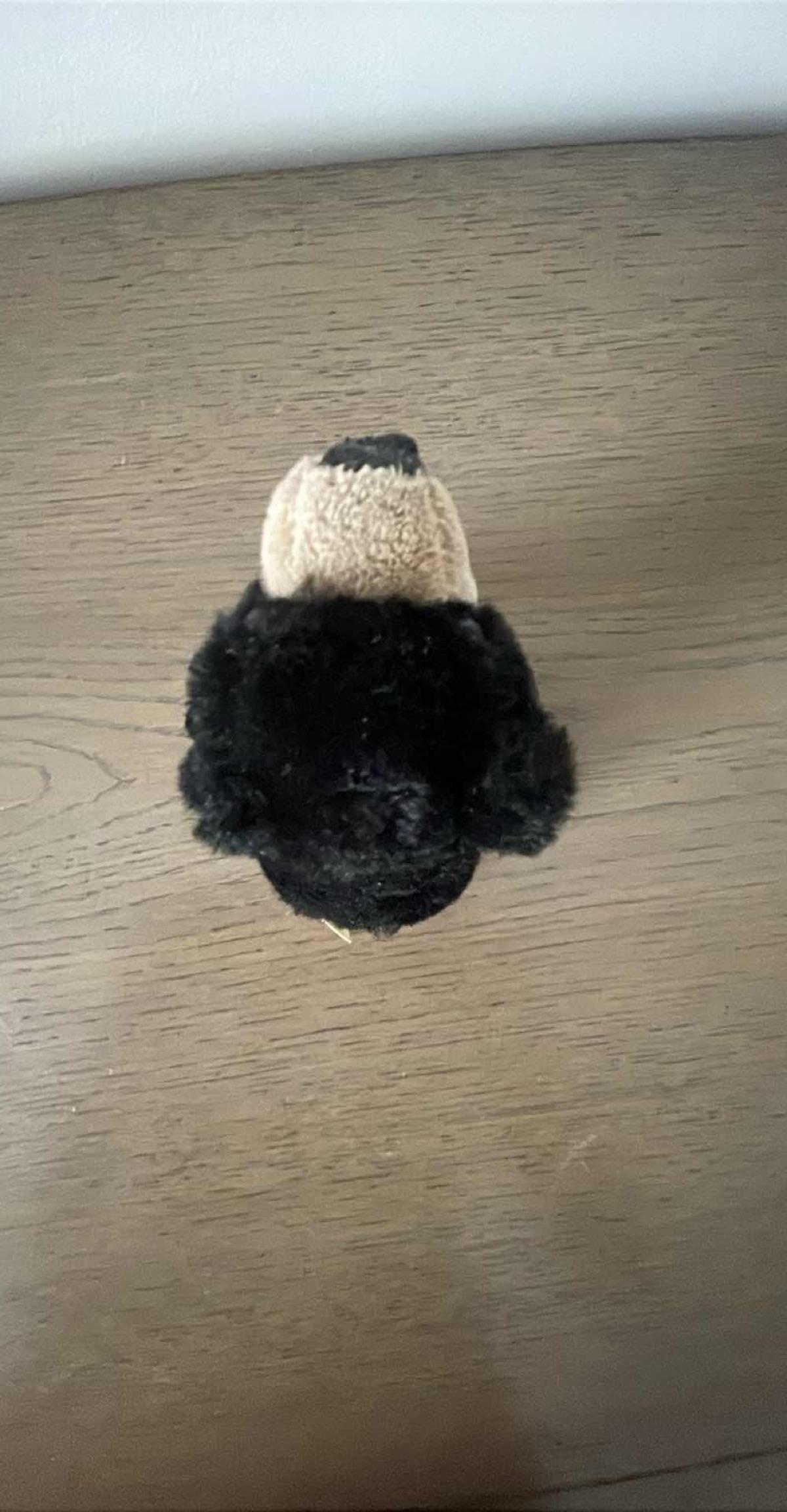Peluche ours noir JAAG 5