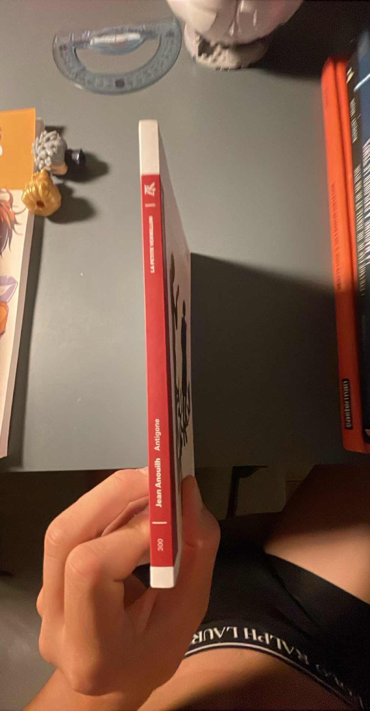 Livre "Antigone" de Jean Anouilh - Éditions La Petite Vermillon 3